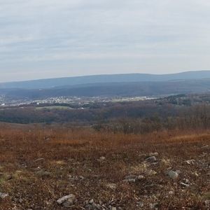 Meet your Posher, Annarose